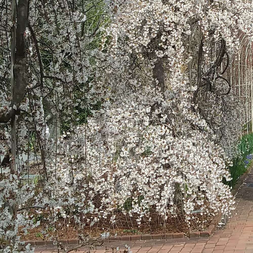 Meet your Posher, Ari